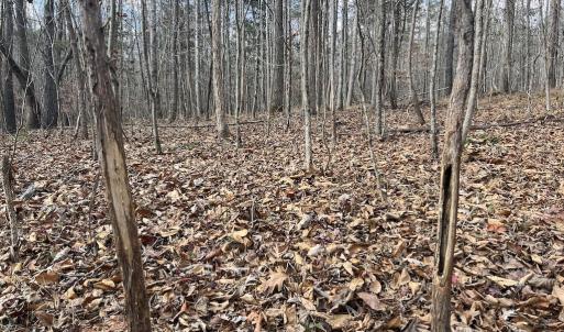 Photo #32 of SOLD property in Off Uzzle Road , Rougemont, NC 70.3 acres