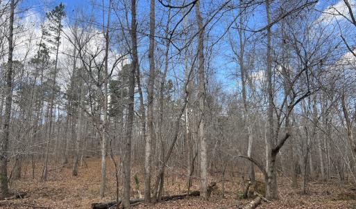 Photo #35 of SOLD property in Off Uzzle Road , Rougemont, NC 70.3 acres