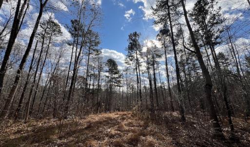 Photo #36 of SOLD property in Off Uzzle Road , Rougemont, NC 70.3 acres
