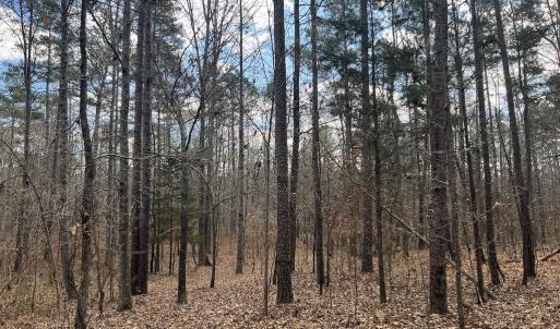 Photo #39 of SOLD property in Off Uzzle Road , Rougemont, NC 70.3 acres