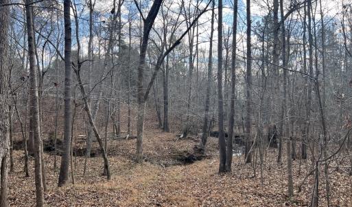Photo #40 of SOLD property in Off Uzzle Road , Rougemont, NC 70.3 acres