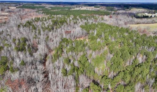Photo #4 of SOLD property in Off Uzzle Road , Rougemont, NC 70.3 acres