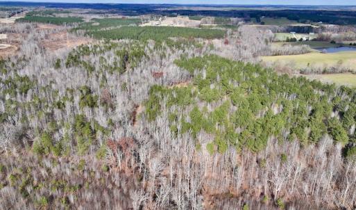 Photo #5 of SOLD property in Off Uzzle Road , Rougemont, NC 70.3 acres