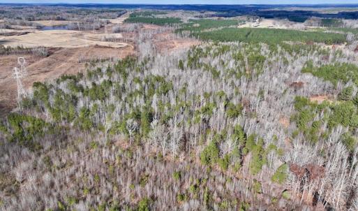 Photo #6 of SOLD property in Off Uzzle Road , Rougemont, NC 70.3 acres
