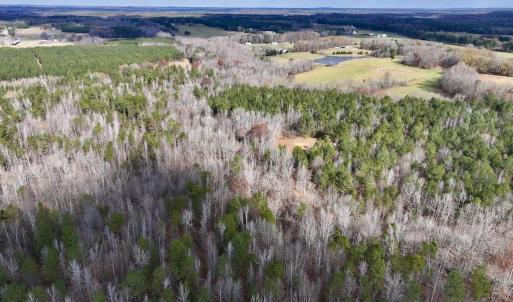 Photo #8 of SOLD property in Off Uzzle Road , Rougemont, NC 70.3 acres