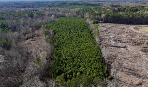 Photo #8 of Off Peachtree Hills Road, Spring Hope, NC 20.0 acres