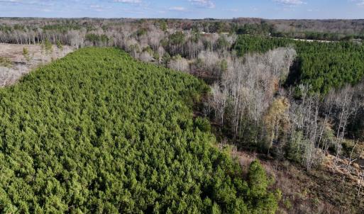 Photo #11 of Off Peachtree Hills Road, Spring Hope, NC 20.0 acres
