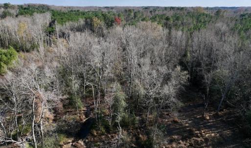 Photo #13 of Off Peachtree Hills Road, Spring Hope, NC 20.0 acres