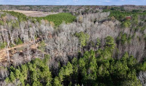 Photo #16 of Off Peachtree Hills Road, Spring Hope, NC 20.0 acres