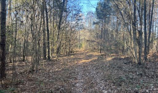 Photo #18 of Off Peachtree Hills Road, Spring Hope, NC 20.0 acres