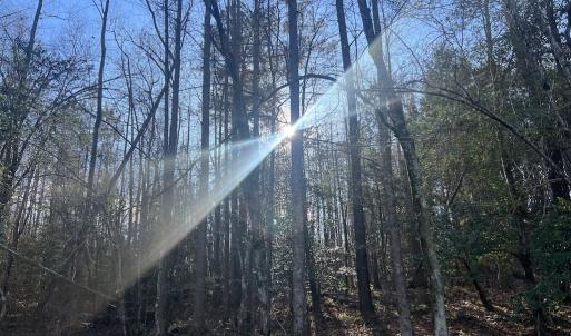 Photo #19 of Off Peachtree Hills Road, Spring Hope, NC 20.0 acres