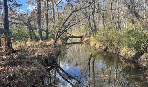 Photo #20 of Off Peachtree Hills Road, Spring Hope, NC 20.0 acres