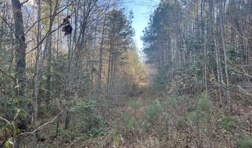 Photo #22 of Off Peachtree Hills Road, Spring Hope, NC 20.0 acres