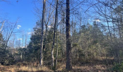 Photo #23 of Off Peachtree Hills Road, Spring Hope, NC 20.0 acres