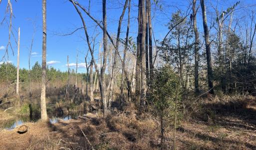 Photo #25 of Off Peachtree Hills Road, Spring Hope, NC 20.0 acres