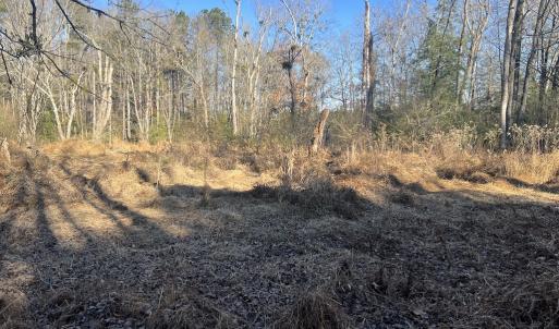 Photo #26 of Off Peachtree Hills Road, Spring Hope, NC 20.0 acres