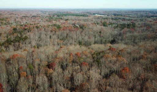 Photo #4 of SOLD property in Off Gera Rd, King George, VA 82.0 acres