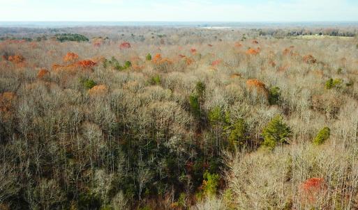 Photo #2 of SOLD property in Off Gera Rd, King George, VA 82.0 acres