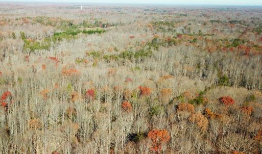 Photo #3 of SOLD property in Off Gera Rd, King George, VA 82.0 acres