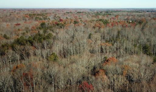 Photo #5 of SOLD property in Off Gera Rd, King George, VA 82.0 acres