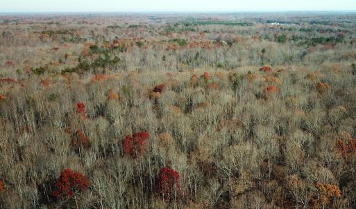 Photo #6 of SOLD property in Off Gera Rd, King George, VA 82.0 acres