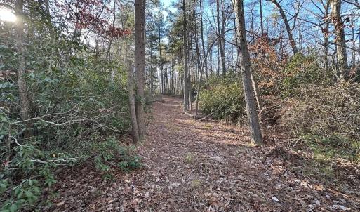 Photo #8 of SOLD property in Off Gera Rd, King George, VA 82.0 acres