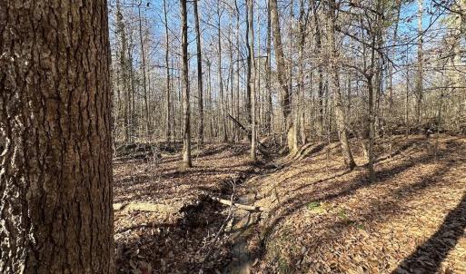 Photo #22 of SOLD property in Off Gera Rd, King George, VA 82.0 acres