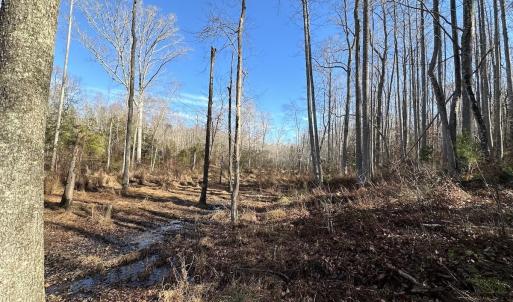 Photo #31 of SOLD property in Off Gera Rd, King George, VA 82.0 acres