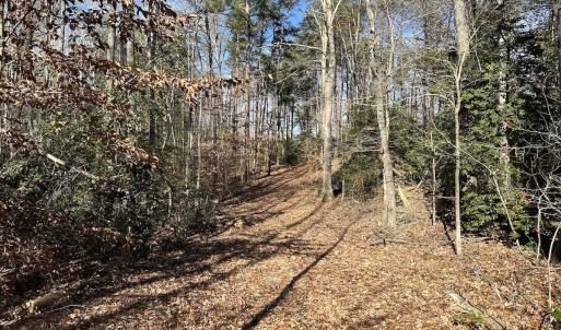 Photo #36 of SOLD property in Off Gera Rd, King George, VA 82.0 acres