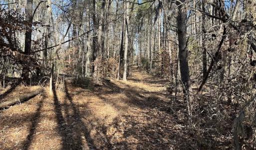 Photo #37 of SOLD property in Off Gera Rd, King George, VA 82.0 acres