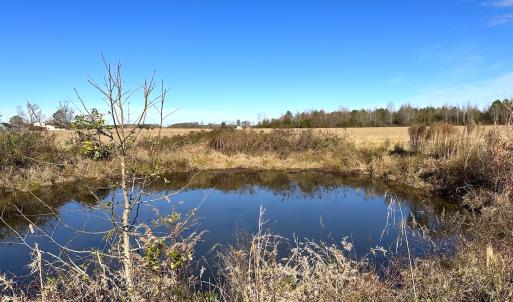 Photo #18 of Off Walters Hwy, Carrsville, VA 34.3 acres