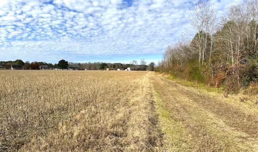 Photo #21 of Off Walters Hwy, Carrsville, VA 34.3 acres