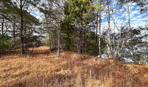 Photo #28 of Off Walters Hwy, Carrsville, VA 34.3 acres