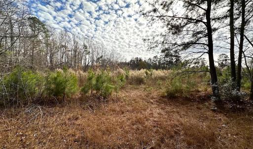 Photo #29 of Off Walters Hwy, Carrsville, VA 34.3 acres