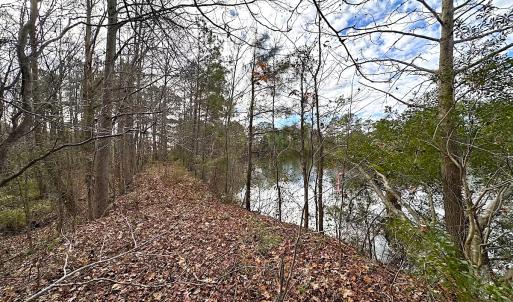 Photo #33 of Off Walters Hwy, Carrsville, VA 34.3 acres