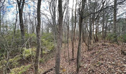 Photo #34 of Off Walters Hwy, Carrsville, VA 34.3 acres