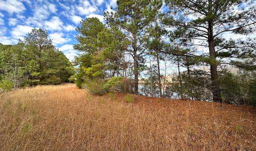 Photo #36 of Off Walters Hwy, Carrsville, VA 34.3 acres