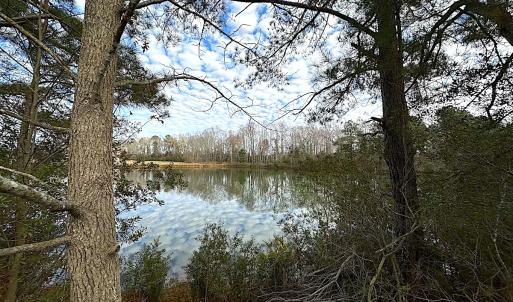Photo #37 of Off Walters Hwy, Carrsville, VA 34.3 acres