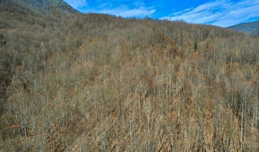 Photo #6 of SOLD property in 1373, 1397, 1398 Peaches N Cream Ln, Bedford, VA 122.2 acres