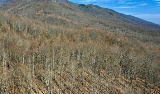 Photo #7 of SOLD property in 1373, 1397, 1398 Peaches N Cream Ln, Bedford, VA 122.2 acres