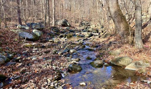 Photo #15 of SOLD property in 1373, 1397, 1398 Peaches N Cream Ln, Bedford, VA 122.2 acres