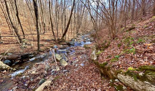 Photo #16 of SOLD property in 1373, 1397, 1398 Peaches N Cream Ln, Bedford, VA 122.2 acres