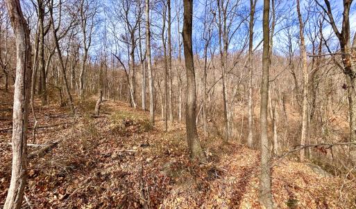 Photo #31 of SOLD property in 1373, 1397, 1398 Peaches N Cream Ln, Bedford, VA 122.2 acres