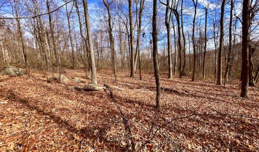 Photo #33 of SOLD property in 1373, 1397, 1398 Peaches N Cream Ln, Bedford, VA 122.2 acres