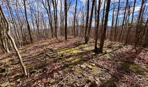 Photo #36 of SOLD property in 1373, 1397, 1398 Peaches N Cream Ln, Bedford, VA 122.2 acres
