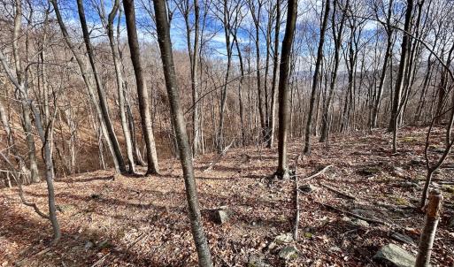 Photo #37 of SOLD property in 1373, 1397, 1398 Peaches N Cream Ln, Bedford, VA 122.2 acres