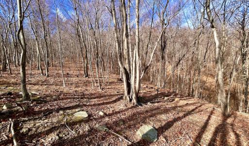 Photo #38 of SOLD property in 1373, 1397, 1398 Peaches N Cream Ln, Bedford, VA 122.2 acres