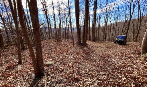 Photo #41 of SOLD property in 1373, 1397, 1398 Peaches N Cream Ln, Bedford, VA 122.2 acres