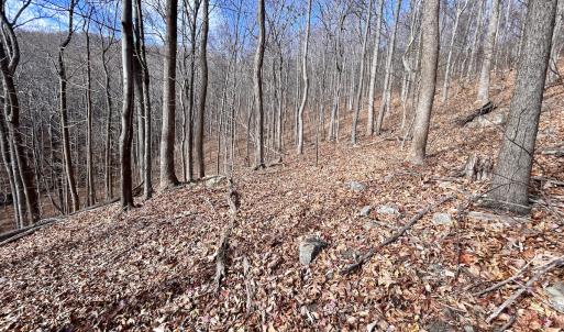 Photo #42 of SOLD property in 1373, 1397, 1398 Peaches N Cream Ln, Bedford, VA 122.2 acres
