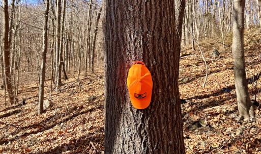 Photo #43 of SOLD property in 1373, 1397, 1398 Peaches N Cream Ln, Bedford, VA 122.2 acres